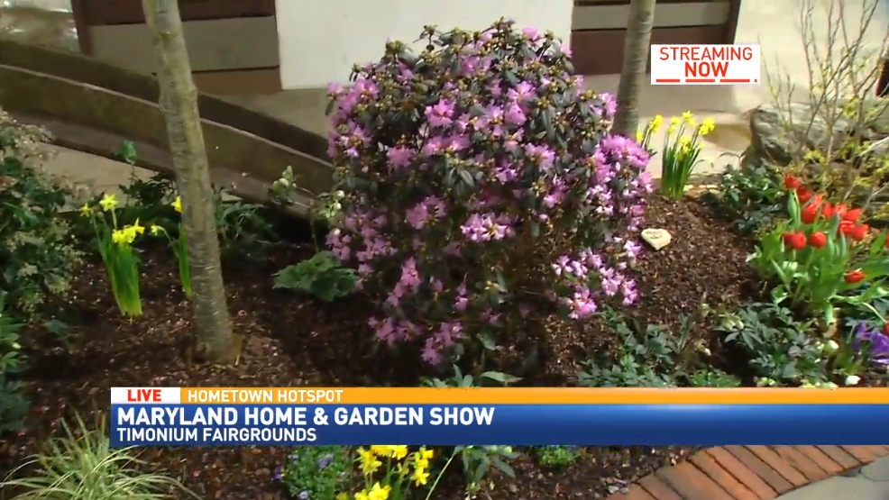 Maryland Home And Garden Show Wbff