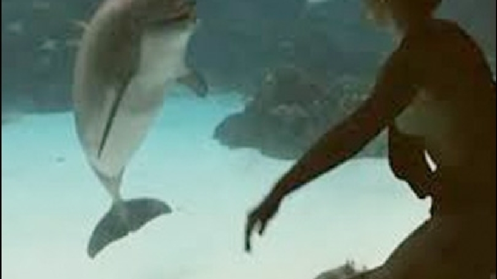 130722_dolphin.jpg
