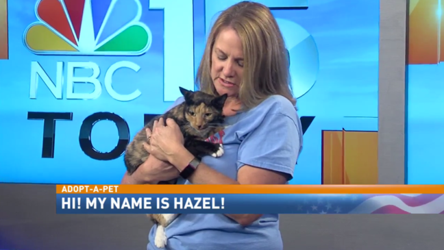 Adopt-A-Pet: Hazel