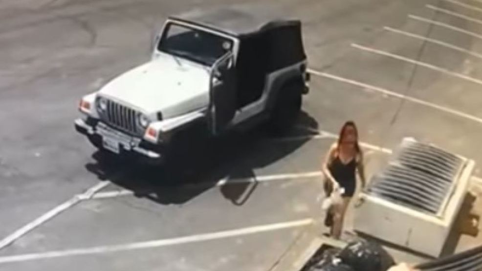 Video footage shows California woman throwing 7 newborn puppies into