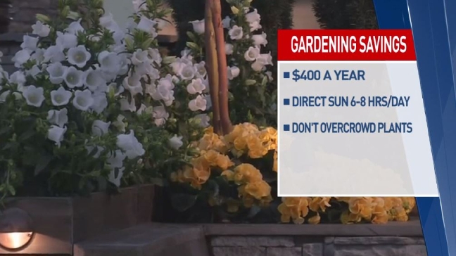 Saving You Money: Gardening, Summer Trips 