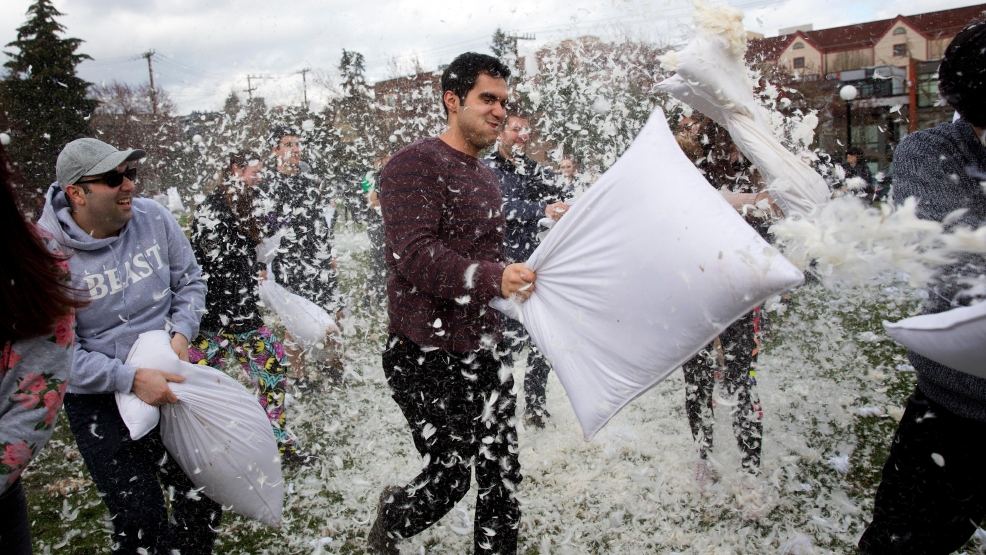 Photos Pillow Fight Seattle Refined