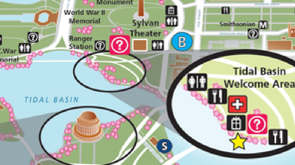 cherryblossommap_296.png
