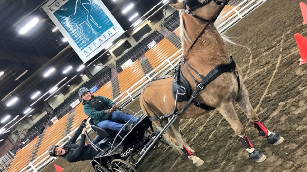 Equine Affaire kicks off this weekend at the Ohio Expo Center WSYX