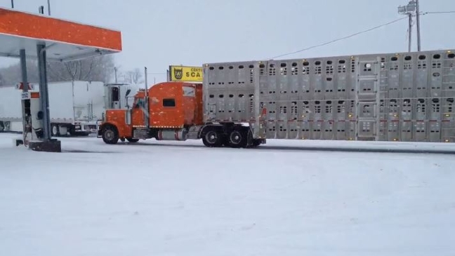Green Bay FOX 11 Storm Chaser News Weather Sports Breaking News WLUK
