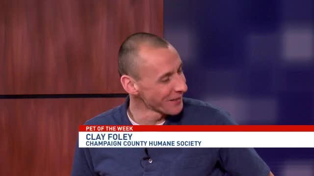 Pet of the Week: Shelly & Kelly