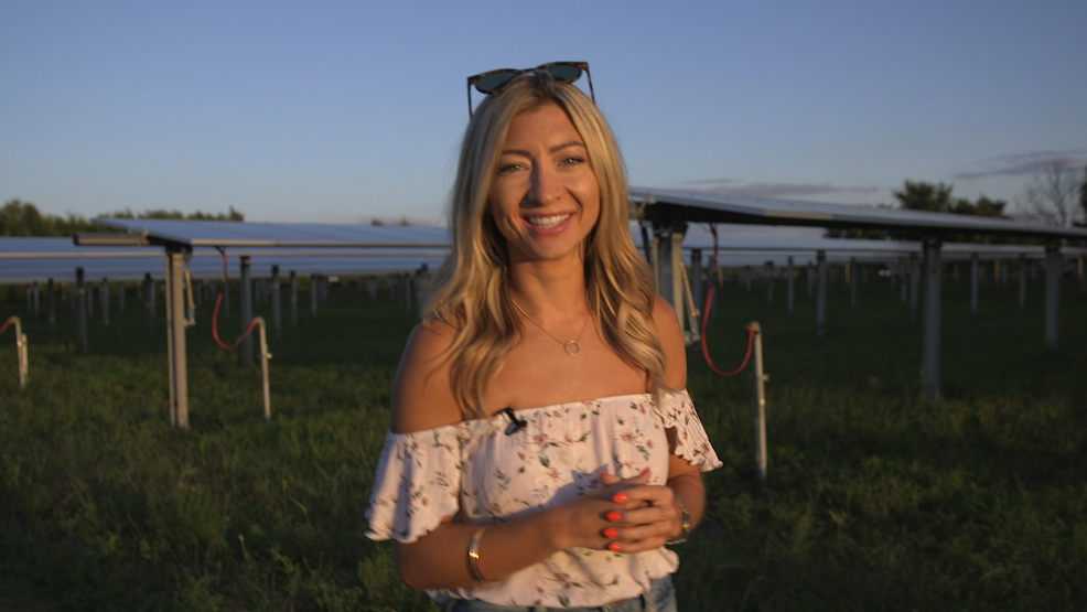 alexa solar.jpg alexa solar.jpg