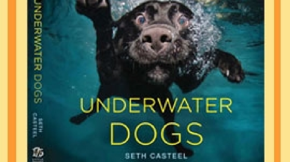 Underwater-Dogs.jpg