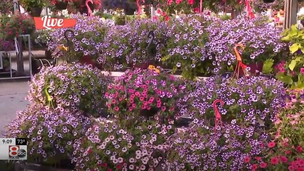 Repair any damage to your garden with help from Riddle