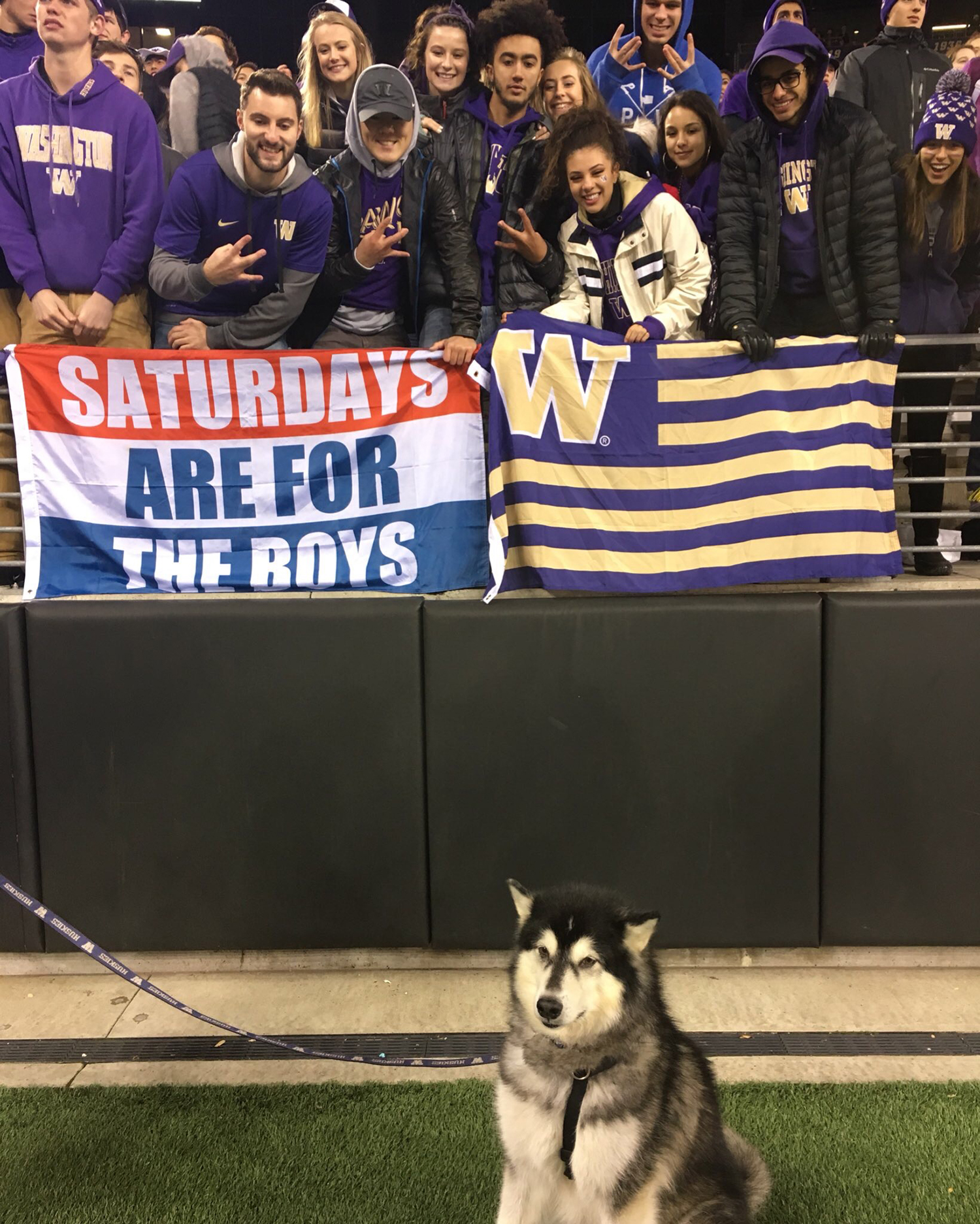 Photos: Remembering Dubs, the goodest retired UW mascot | Seattle Refined