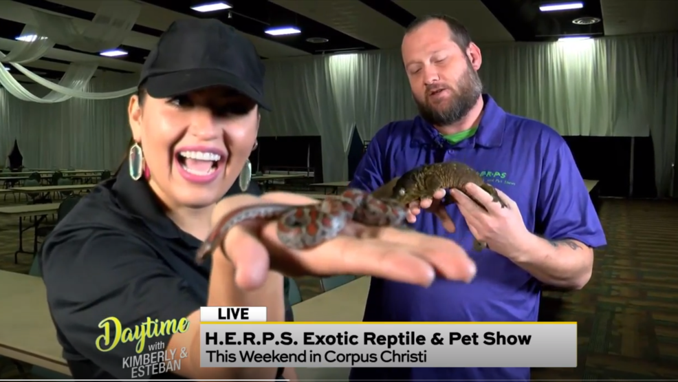 Exotic Reptile & Pet Show Watch Daytime