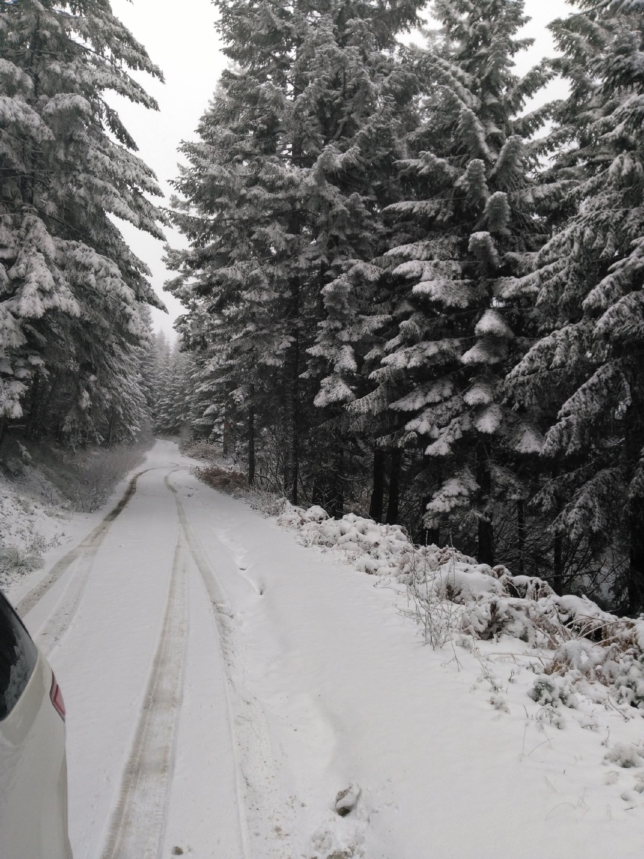 PHOTOS Snow falling on Northwest mountain passes KOMO