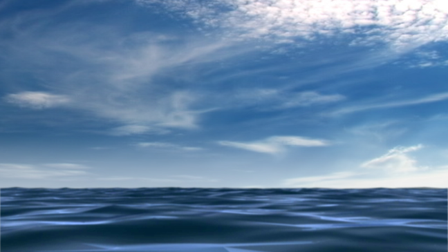 Sea lice reported at Northwest Florida beaches