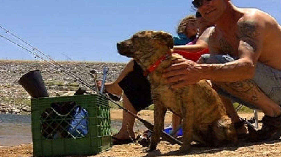 Salmon poisoning a concern for dog owners KBAK