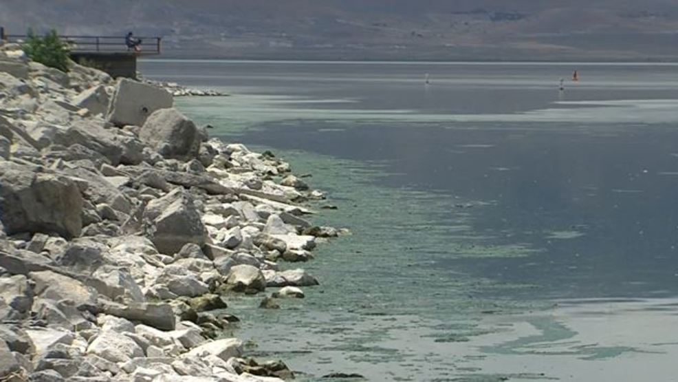 Algal bloom returns to Provo Bay in Utah Lake, poses danger to humans