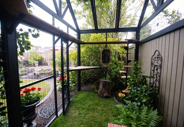 large catio