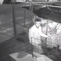 Douglas police searching for plant burglar