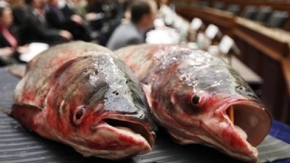 asiancarp.jpg