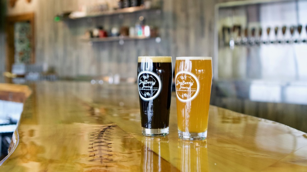 DogBerry Brewing Offers a Casual Craft Beer Experience in West Chester