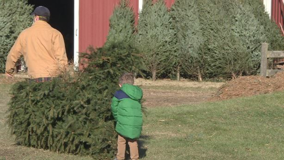 Tree farms return for the holiday season | WMSN