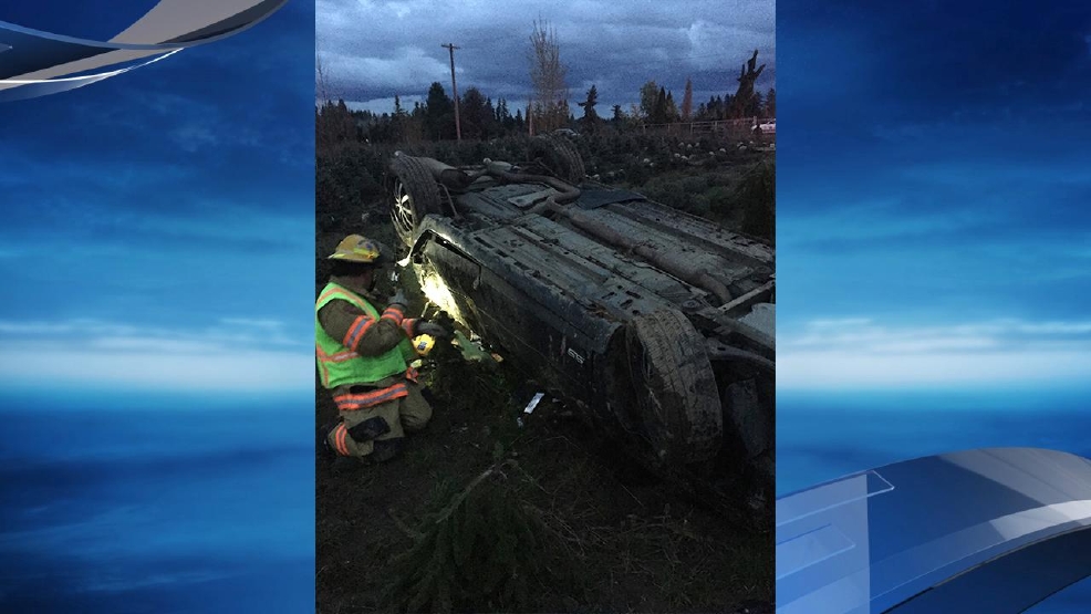 Sheriff 20yearold man dies in crash outside Molalla KATU
