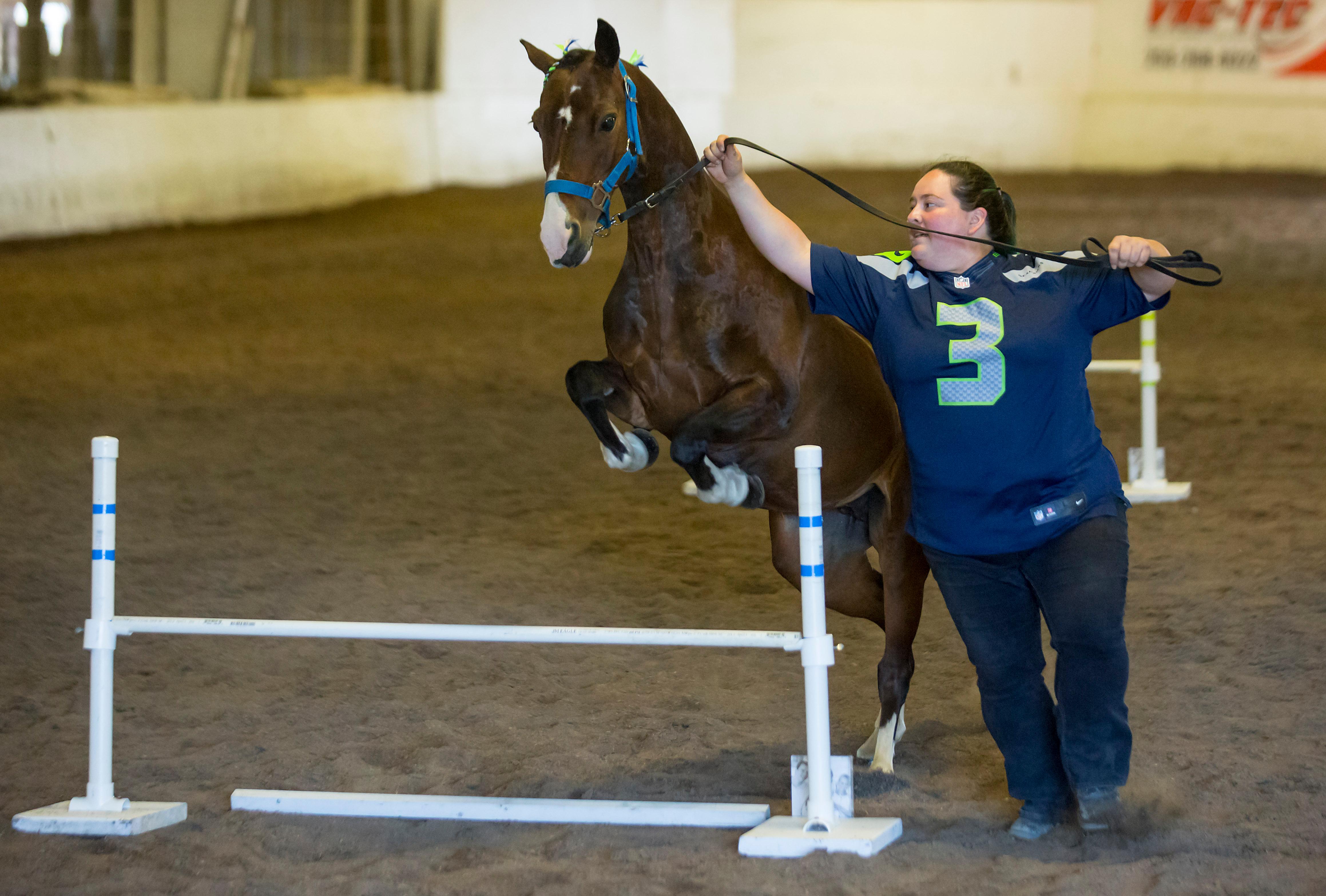 Photos Miniature horses Seattle Refined