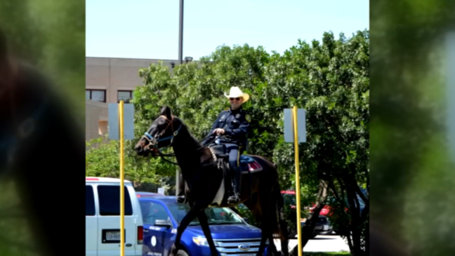 Bexar County Sheriff on Mounted Patrol Units