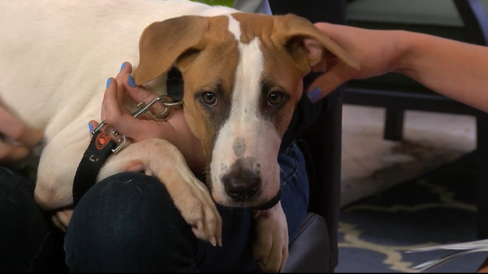 wednesday friendsday : meet mr. mug!