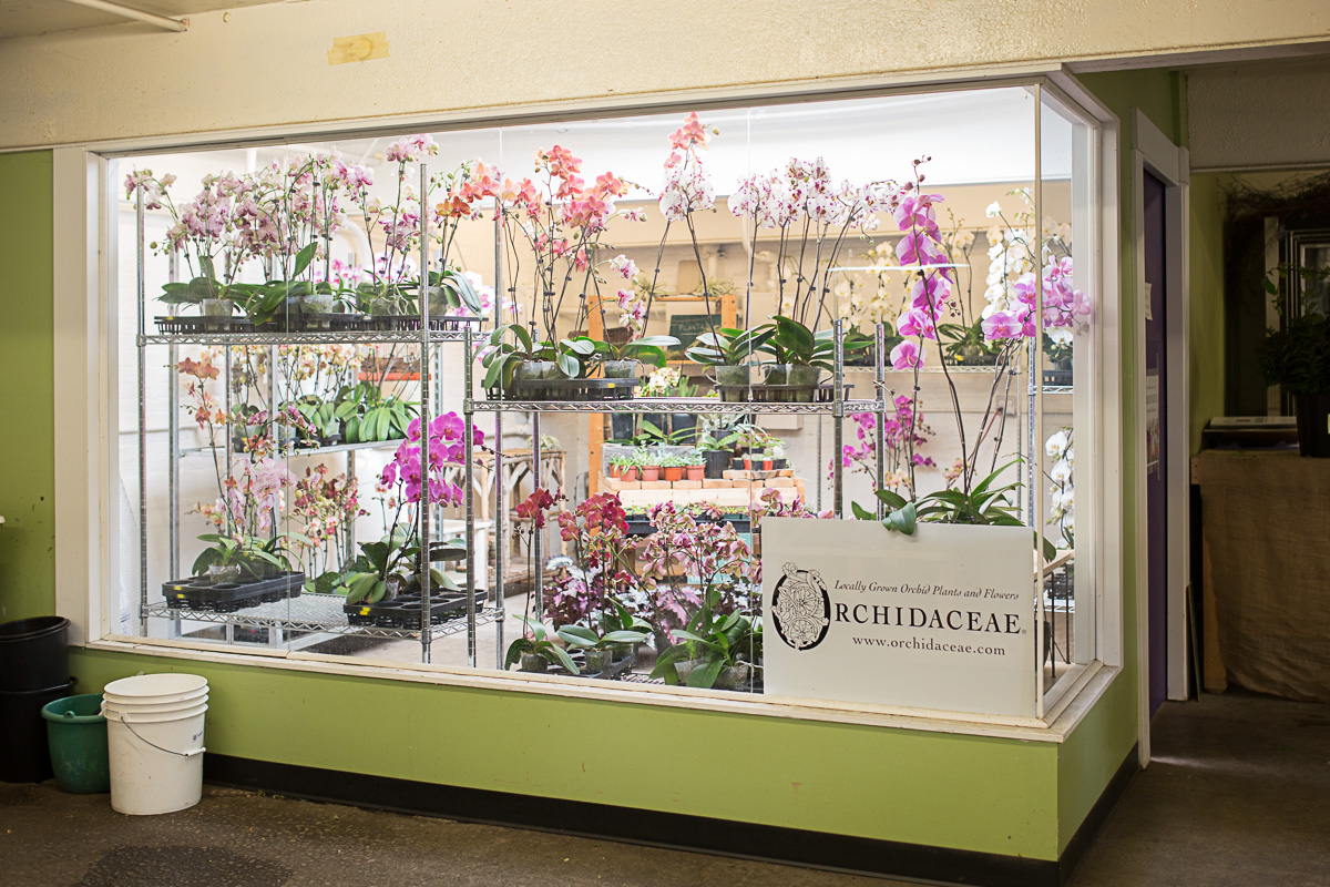 Seattle's glorious fieldtovase flower market Seattle Refined